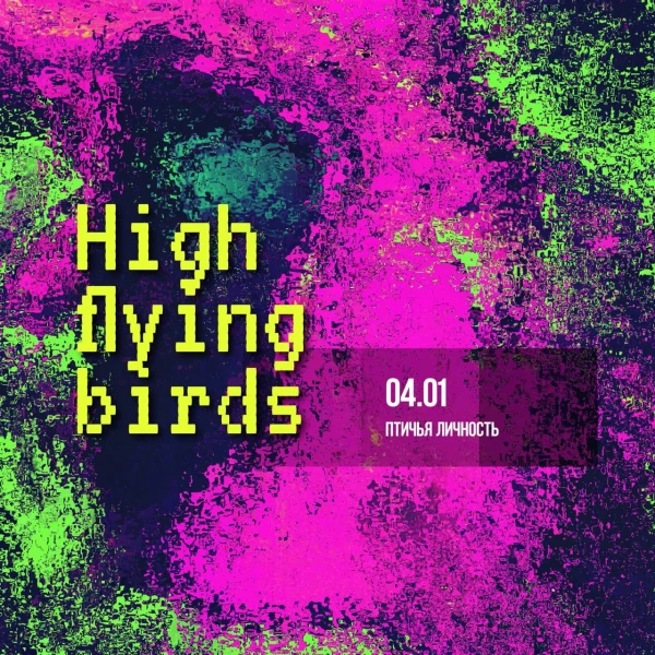 High Flyin Bird