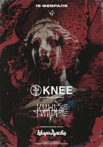 KNEE & KASSUS