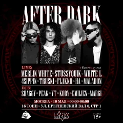 AFTER DARK poster