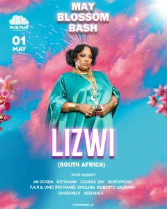LIZWI poster