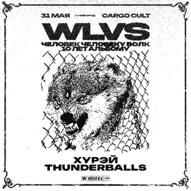 WLVS 