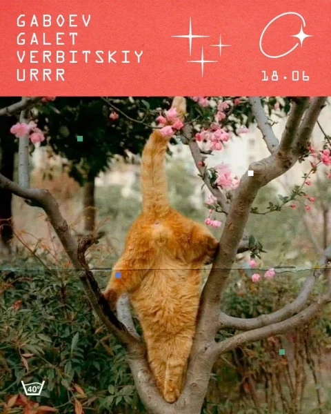 среда 