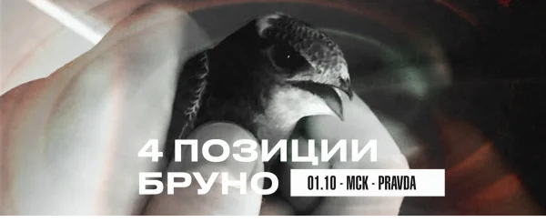4 ПОЗИЦИИ БРУНО