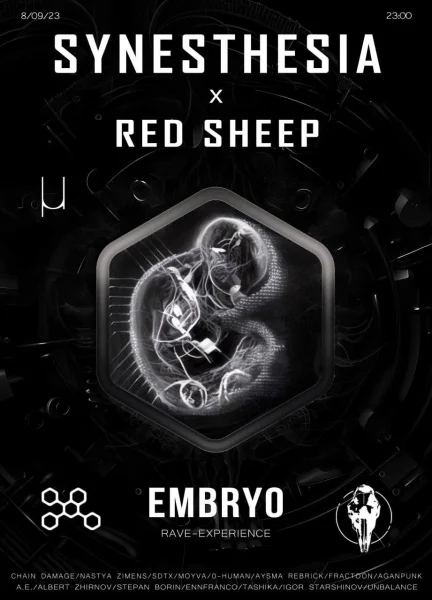 EMBRYO