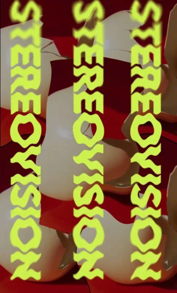 Stereovision 