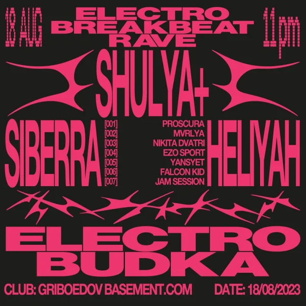 ELECTROBUDKA!
