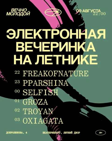 ЭЛЕКТРОННАЯ ВЕЧЕРИНКА НА ЛЕТНИКЕ