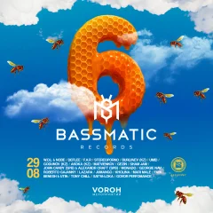 Bassmatic Records 6 years  poster