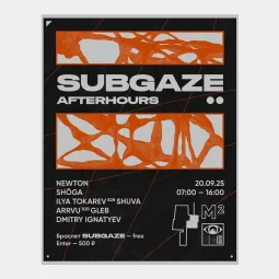 Subgaze 