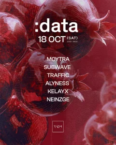 :data poster