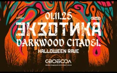 Экзотика: Darkwood Citadel poster