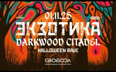 Экзотика: Darkwood Citadel poster