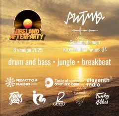  VIBELAND AFTERPARTY  poster