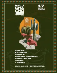 DEEP VISION х RIMBU PRO poster