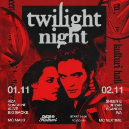 TWILIGHT NIGHT poster