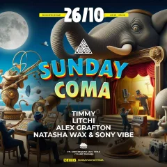 SUNDAY COMA poster