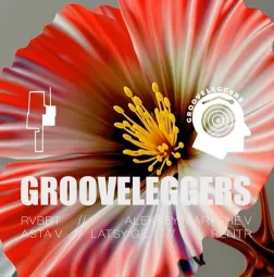 Grooveleggers