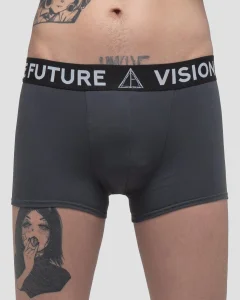 Трусы - боксеры Брифс / Briefs / серые мужские, цвет темно-серый, размер 42