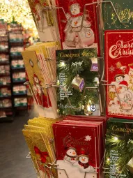 Соматик Фест