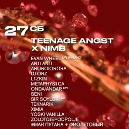 TEENAGE ANGST X NIMB