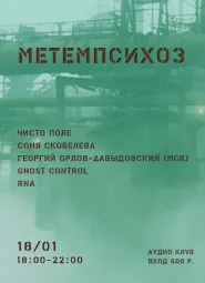 метемпсихоз