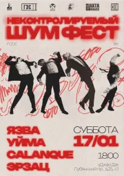 Неконтролируемый Шум Фест   poster