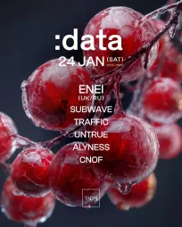 :data poster