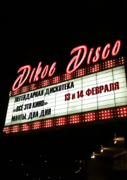 Дикое Диско: день влюбленных poster