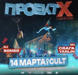 PROJECT X poster