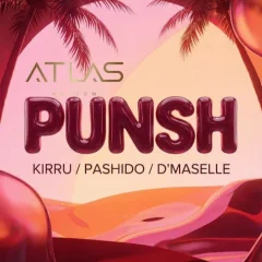 PUNSH poster