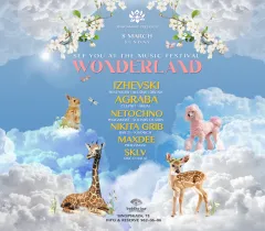 Festival Wonderland poster