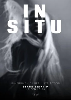 IN SITU poster