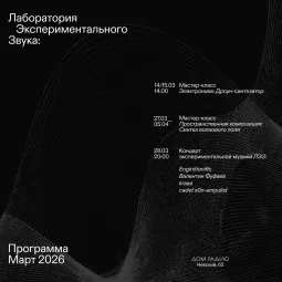 Электроника: Дроун-синтезатор poster