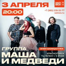 группа МАША И МЕДВЕДИ. ЭЛЕКТРОАКУСТИКА poster