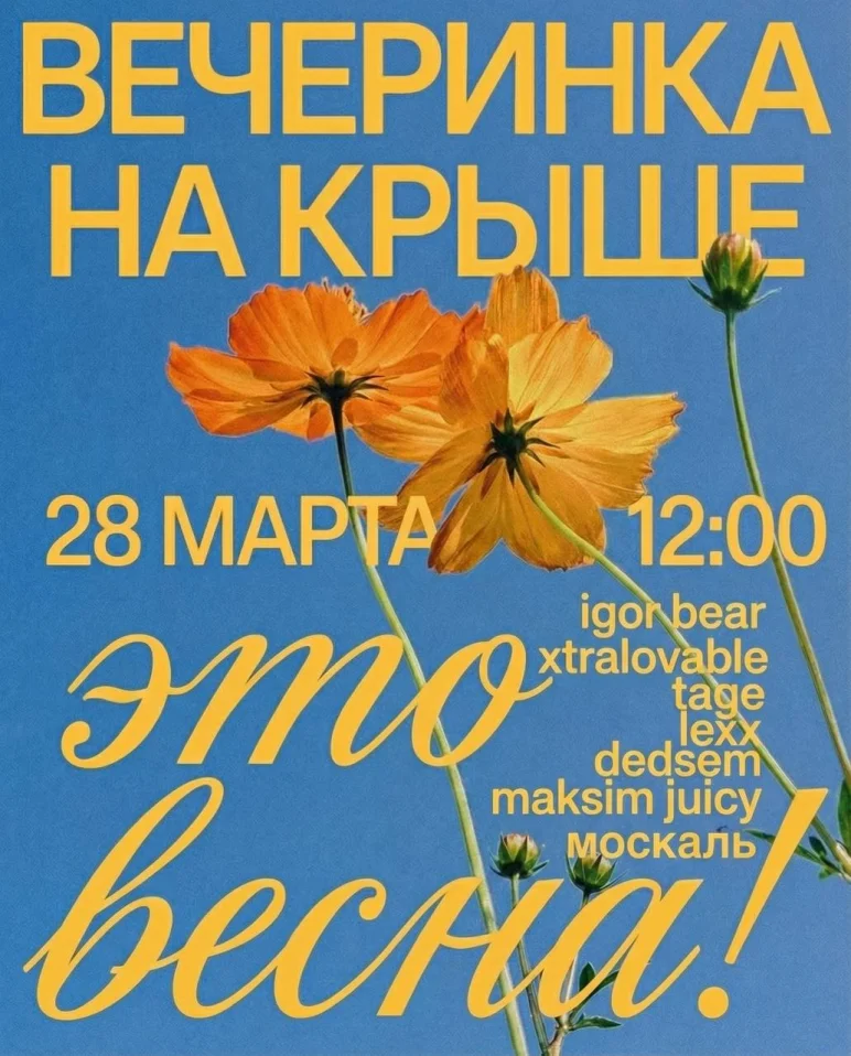 ВЕЧЕРИНКА НА КРЫШЕ