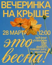 ВЕЧЕРИНКА НА КРЫШЕ poster