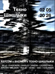 Техно-Шашлыки  poster