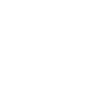 THE TOP CLUB