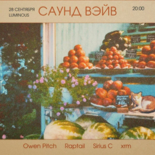 САУНД ВЭЙВ