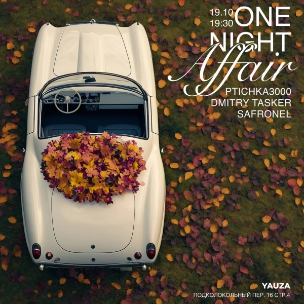 One Night Affair